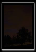 IMG_5615
