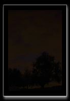 IMG_5617