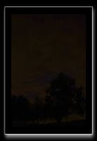 IMG_5619