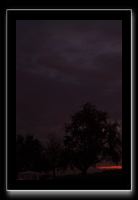 IMG_5586