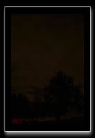 IMG_5639