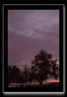 IMG_5589