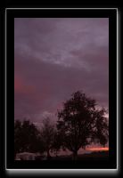 IMG_5590