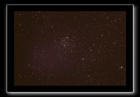 IMG_8559