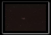 IMG_9551