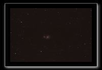 IMG_9555