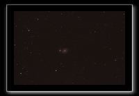 IMG_9558