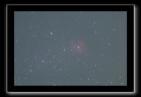 IMG_5125