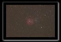 IMG_0050