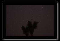 IMG_4374 (1)