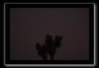 IMG_4375 (1)