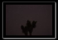 IMG_4376 (1)