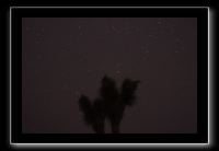 IMG_4377 (1)