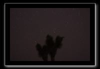 IMG_4378 (1)