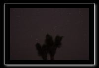 IMG_4380 (1)