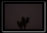 IMG_4381 (1)