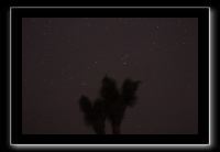 IMG_4382 (1)