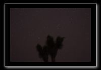 IMG_4383 (1)