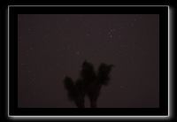 IMG_4392 (1)