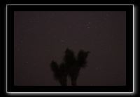 IMG_4393 (1)