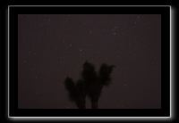 IMG_4394 (1)