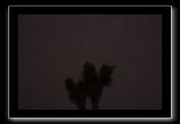 IMG_4399 (1)