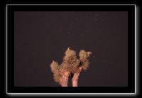 IMG_4400 (1)