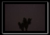 IMG_4401 (1)