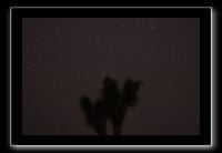 IMG_4402 (1)