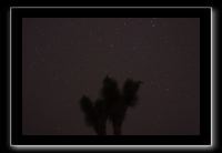 IMG_4403 (1)
