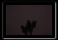 IMG_4405 (1)