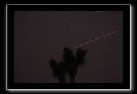 IMG_4407