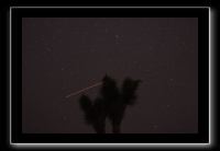 IMG_4408 (1)