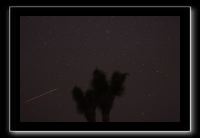 IMG_4409 (1)