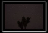 IMG_4410 (1)