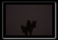 IMG_4413 (1)