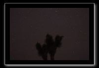 IMG_4414 (1)