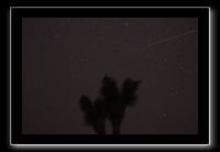 IMG_4415 (1)