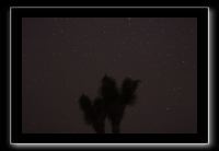 IMG_4418 (1)