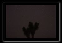 IMG_4419 (1)