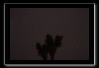 IMG_4420 (1)
