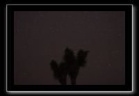 IMG_4422 (1)