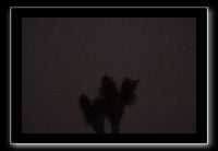 IMG_4424 (1)