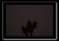 IMG_4425 (1)