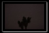 IMG_4426 (1)