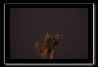 IMG_4427 (1)