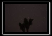 IMG_4428 (1)