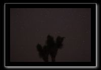 IMG_4429 (1)