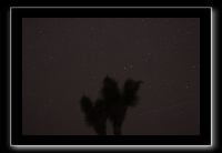 IMG_4431 (1)