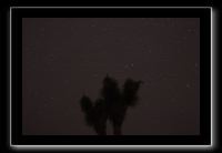IMG_4432 (1)